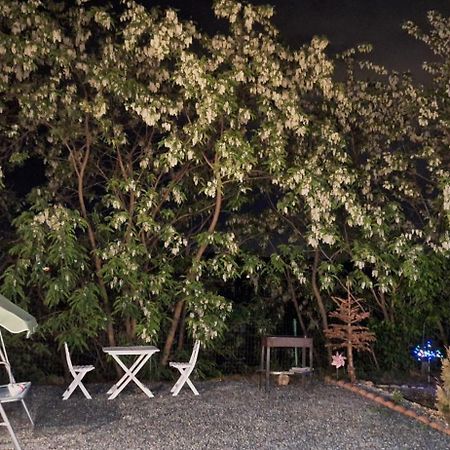 Cabana Oprisor Ocna Sibiului Exteriör bild