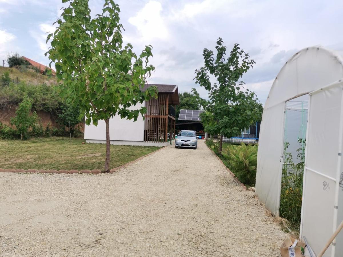 Cabana Oprisor Ocna Sibiului Exteriör bild