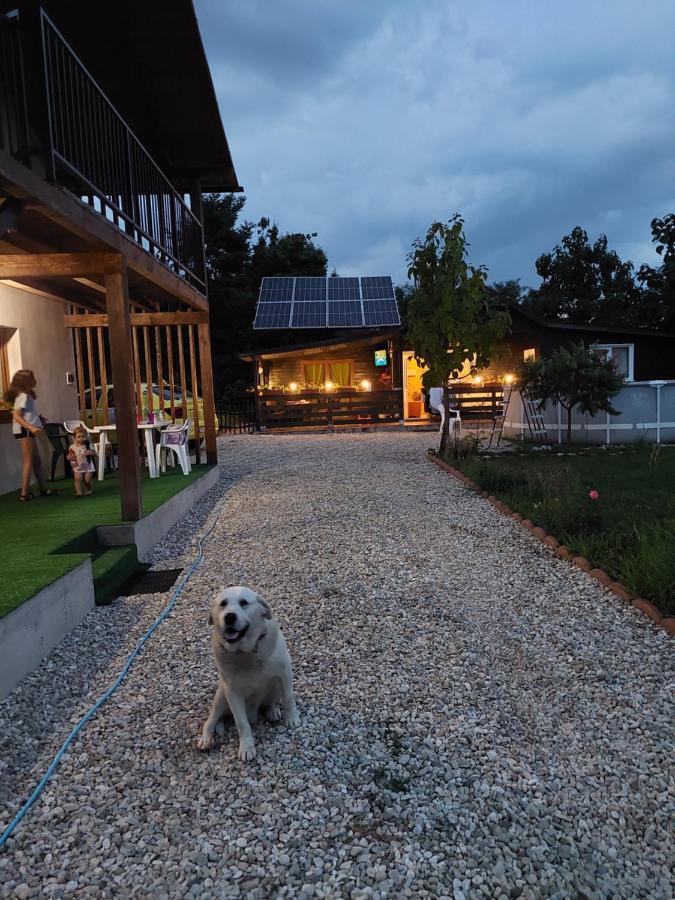 Cabana Oprisor Ocna Sibiului Exteriör bild